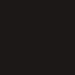 vanguard black window swatch